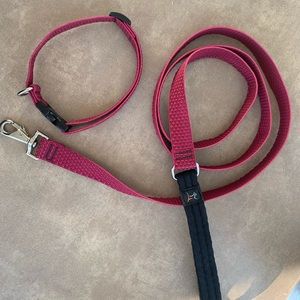 Matching Collar & Leash Set - Berry Color